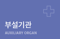 부설기관